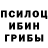 Псилоцибиновые грибы Magic Shrooms Mr.vivilka 1995