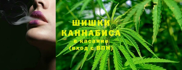 прущие крисы Абаза