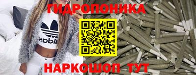стаф Заводоуковск