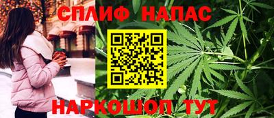 стаф Заводоуковск