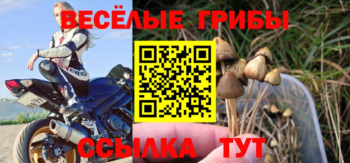 Галлюциногенные грибы мицелий Аксай